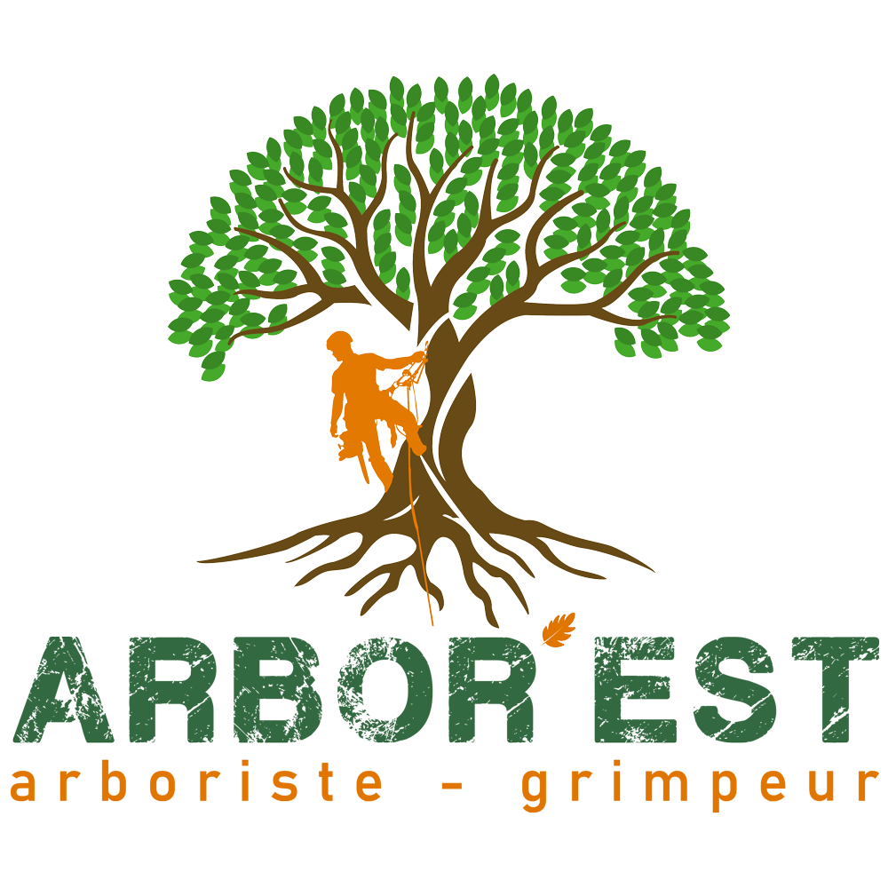 logo arborest Elagage Abattage Travaux sur corde